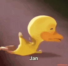 a cartoon duck with the name jan written below it