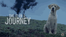 She Is On A Journey 777charlie GIF - She Is On A Journey 777charlie वहयात्रापरहै GIFs