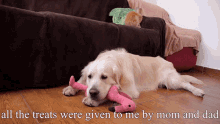 All The Treats Were Given To Me By Mom And Dad Sad Face GIF - All The Treats Were Given To Me By Mom And Dad Sad Face Frown GIFs