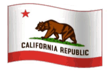 california flag bear