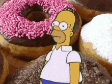 donuts homer simpson disappear
