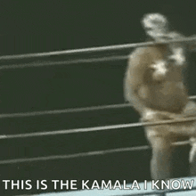 a man in a mask is standing in a boxing ring and says `` this is the kamala i know '' .