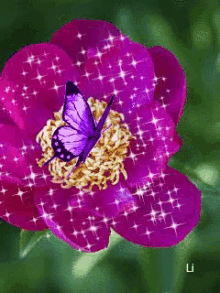 Flower Butterfly GIF - Flower Butterfly Sparkle GIFs