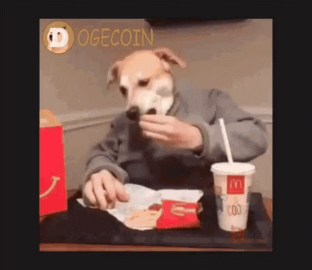 Nmmm Dog GIF - Nmmm Dog Eating - Discover & Share GIFs