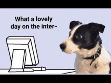 What A Lovely Day On The Inter- Good Lord GIF - What A Lovely Day On The Inter- Good Lord GIFs