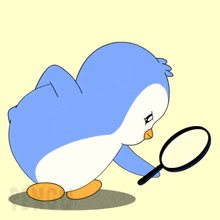 a penguin looking through a magnifying glass with the letter k on its head