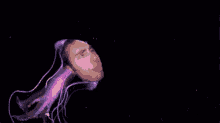 a jellyfish with a man 's head on it .