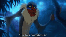 disney rafiki the king has returned welcome back lion king
