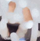 Chat Bed GIF - Chat Bed Goodnight GIFs