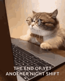 Business Cat GIF