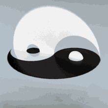 Yin Yang GIF - Yin Yang GIFs