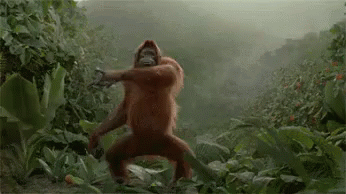 Happy Weekend GIF - Orangutan Happy Weekend Woo GIFs