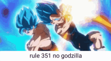 rule 351 no goku meme