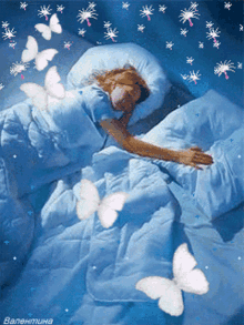 Sleep Well Goodnight GIF - Sleep Well Goodnight Butterflies GIFs