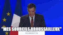 Mes Sourcils Broussailleux GIF - Francois Fillon GIFs