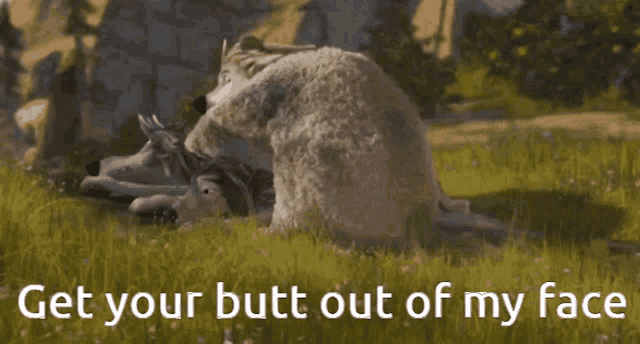 Alpha And Omega Butt GIF Alpha And Omega Butt Discover Share GIFs