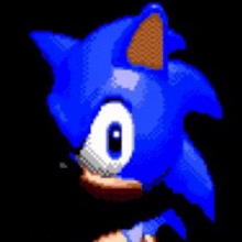 Sonic Huh GIF