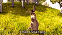 hug donkey hugs lonely