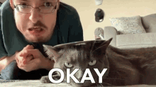 a man brushes a cat while the cat says okay in front of him