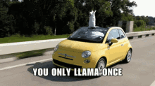 You Only Llama Once Driving GIF - You Only Llama Once Driving GIFs