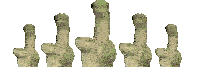 a bunch of mushrooms are standing next to each other