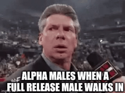 alpha-alpha-male.gif
