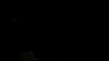a shadow of a person standing in front of a white background