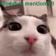 Cat Bodybox GIF - Cat Bodybox Death Metal GIFs