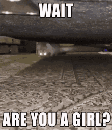Pogfish Are You A Girl GIF - Pogfish Are You A Girl Egirl GIFs