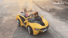 Mad Max Furry Road Dogs In Tiny Car GIF - Mad Max Furry Road Dogs In Tiny Car Going For A Drive GIFs