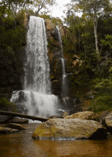 Waterfall Forest GIF - Waterfall Forest Stream GIFs