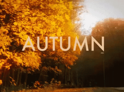 autumn-season.gif