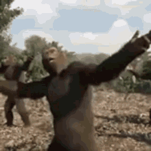 Gorilla Dancing Bloozer GIF - Gorilla Dancing Bloozer Dance GIFs