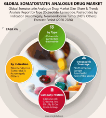 Global Somatostatin Analogue Drug Market GIF