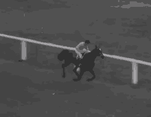 Flop Horse GIF - Flop Horse Horse Racing GIFs