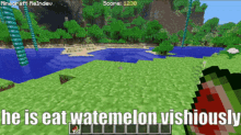 Reindev Minecraft GIF - Reindev Minecraft Watermelon GIFs