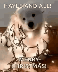 Dog Merry Christmas GIF - Dog Merry Christmas Lights GIFs