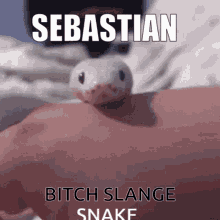 Bitch Slange GIF - Bitch Slange Sebastian GIFs