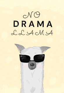 a llama wearing sunglasses with the words " no drama llama " below it