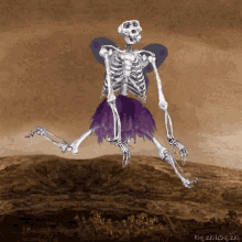 Skeleton Skeleton Dancing GIF - Skeleton Skeleton Dancing Ballet GIFs