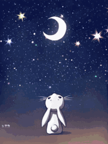 Goodnight Moon GIFs | Tenor