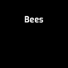 Subtitlebee Bees GIF
