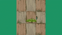 a cartoon drawing of a wooden wall with a green plant growing out of it .
