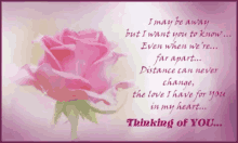 Pink Rose Thinking Of You GIF - Pink Rose Thinking Of You Love GIFs