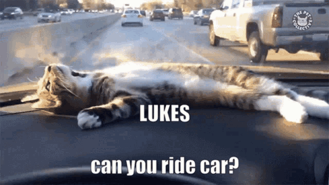 Luke Idiot GIF - Luke Idiot Bad Driving - Discover & Share GIFs