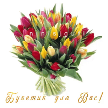 Ninisjgufi Flowers GIF - Ninisjgufi Flowers тюльпаны GIFs