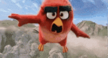 Angry Bird Scream GIF - Angry Bird Scream Flying GIFs