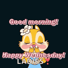 Wednesday Happy Wednesday Ladies GIF - Wednesday Happy Wednesday Ladies Good Morning GIFs