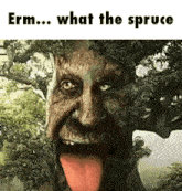 Erm What The Spruce Tree GIF - Erm What The Spruce Tree Ai GIFs