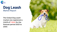 Dog Leash Market Report 2024 GIF - Dog Leash Market Report 2024 GIFs